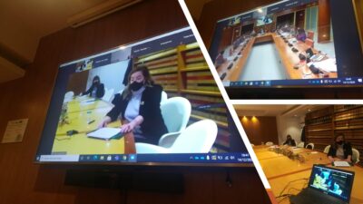 Comparecencia en el Parlamento Vasco