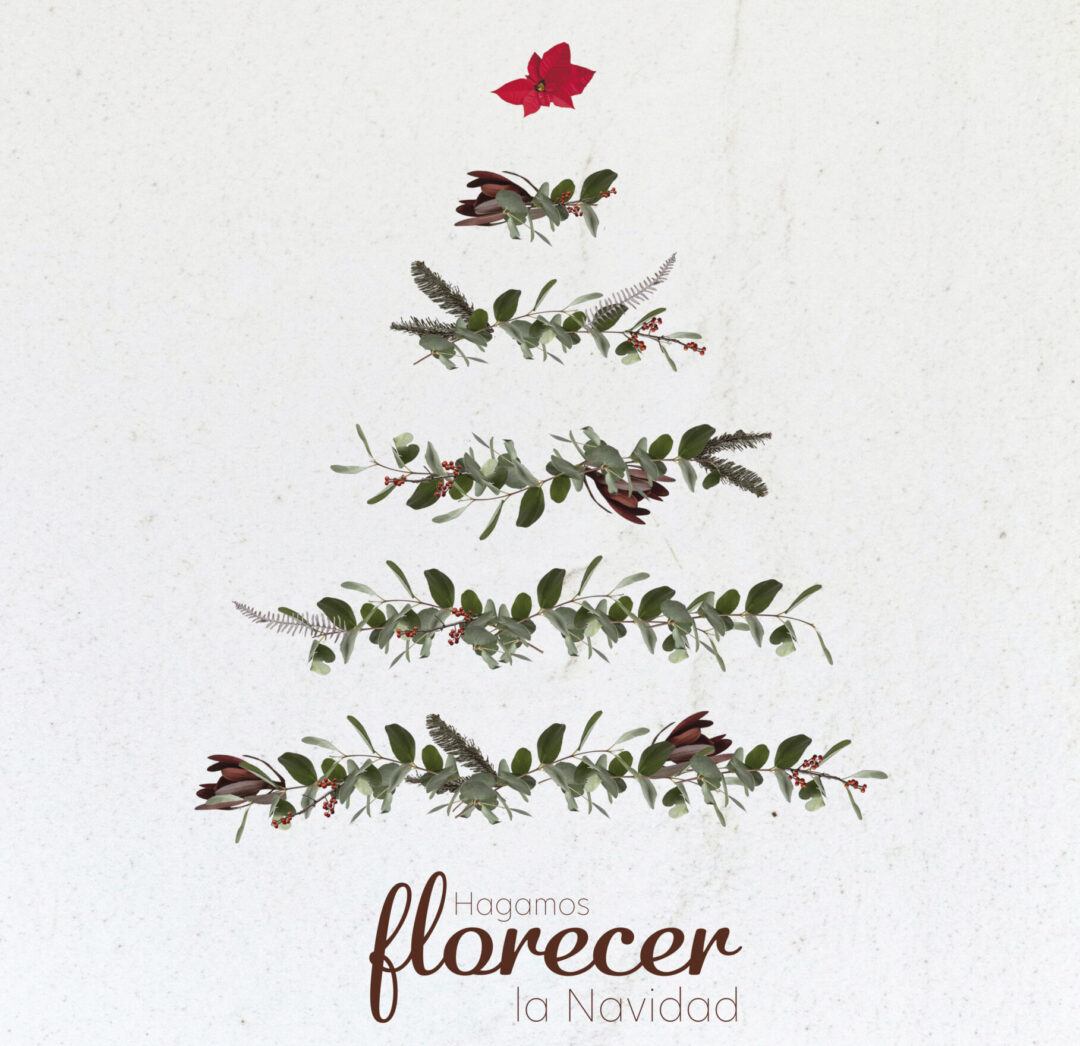 ¡Que florezca la Navidad!