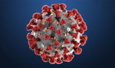 OMS: Preguntas y respuestas sobre la enfermedad por coronavirus (COVID-19)