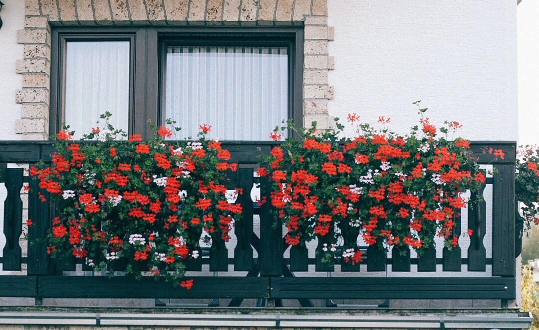 I Concurso de Balcones floridos de Zaharrean